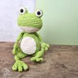 Load image into Gallery viewer, Hardicraft - DIY Crochet Kit - Vinny Frog