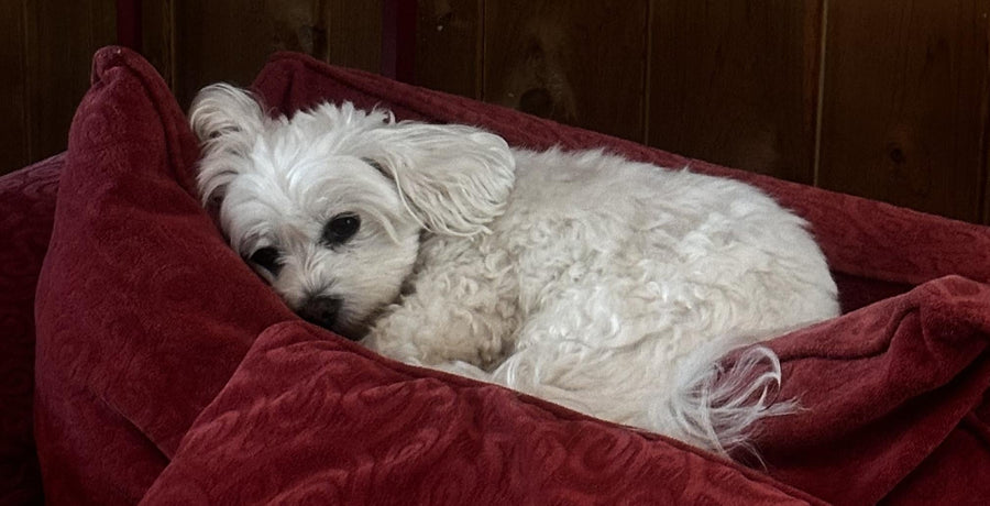 Addiction Recovery - Where are we in 2024?