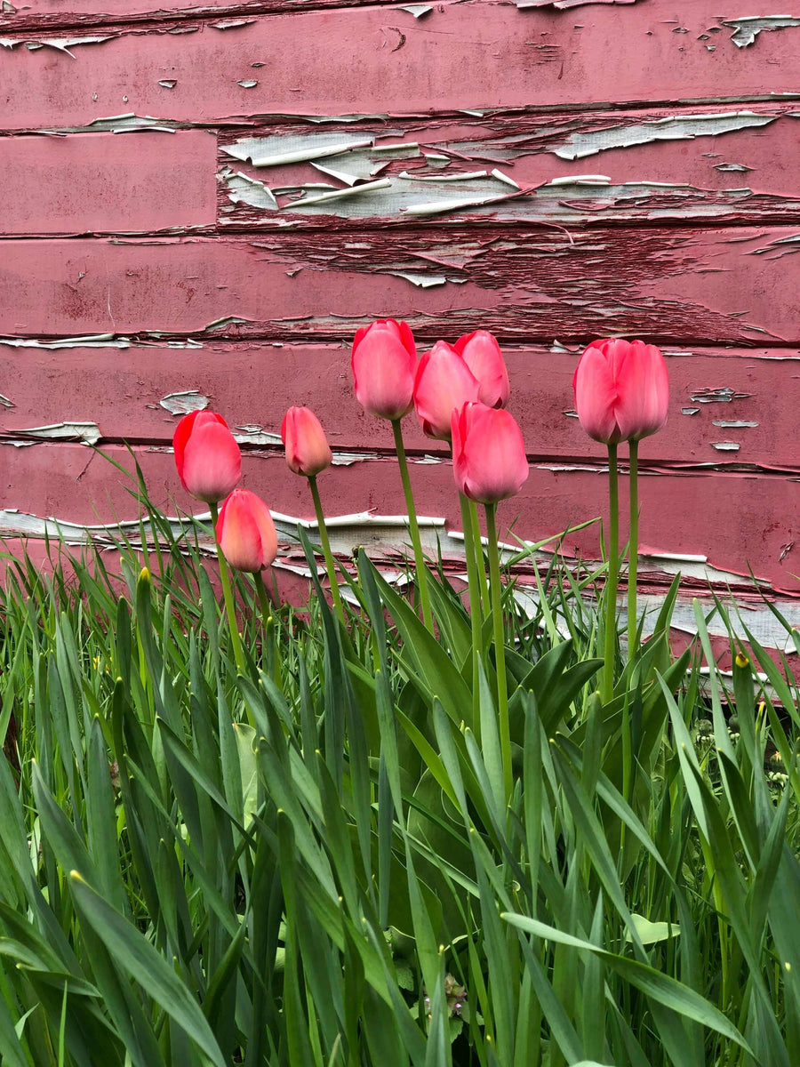 Reflections as 2023 Comes to Close