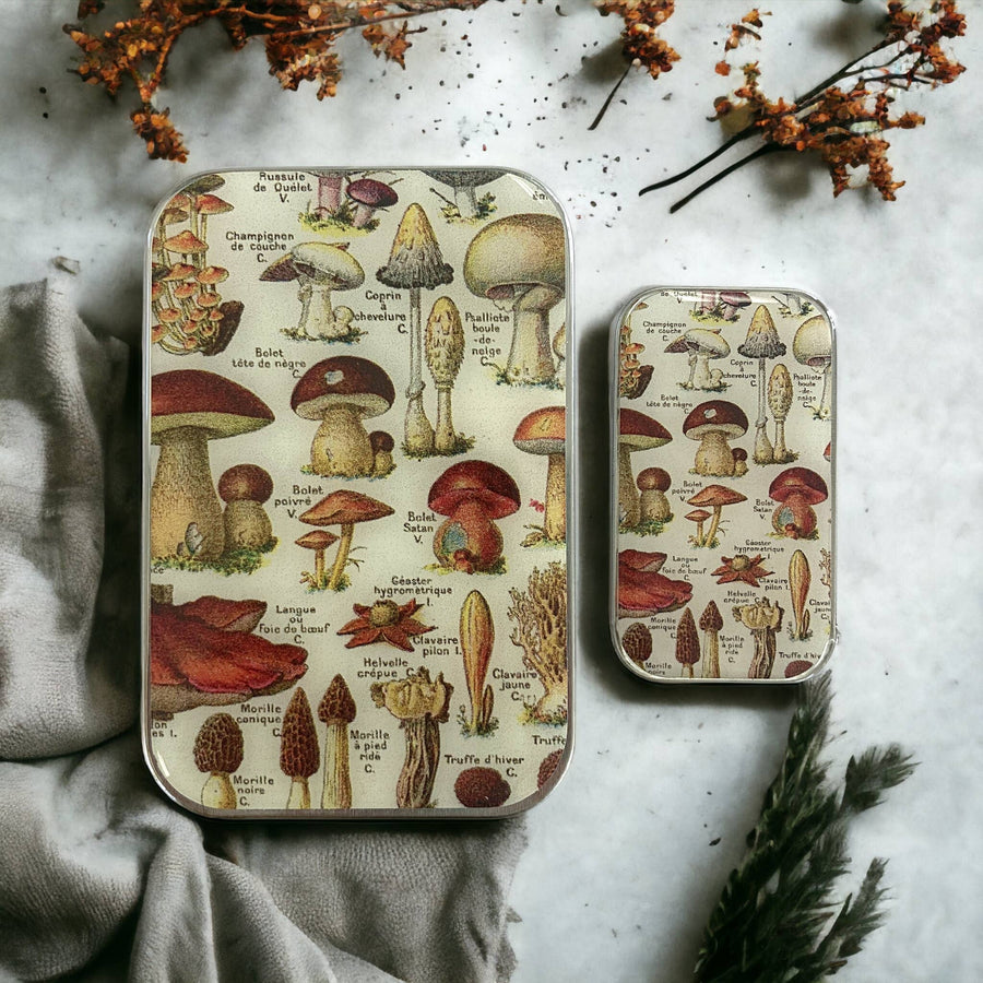 Firefly Notes - Mushroom Notions Tin