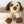 Load image into Gallery viewer, Hardicraft - DIY Crochet Kit - Fiep Puppy
