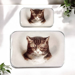 Firefly Notes - Cat Notions Tin