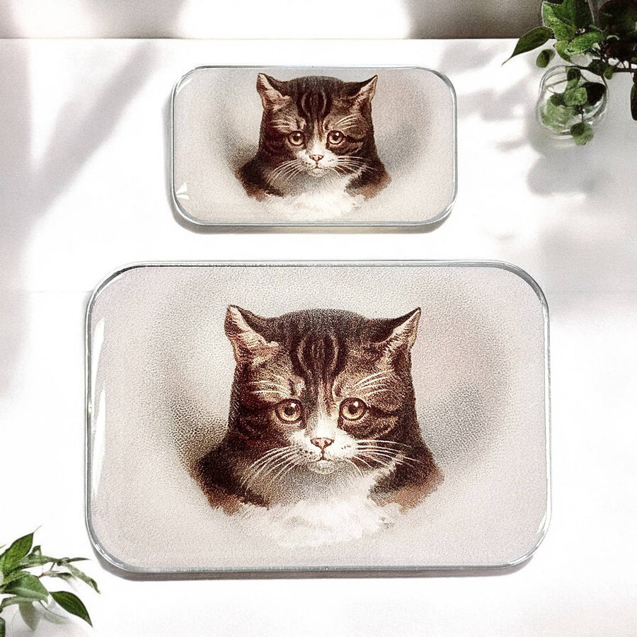 Firefly Notes - Cat Notions Tin