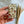 Load image into Gallery viewer, Firefly Notes - Mushroom Notions Tin
