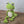 Load image into Gallery viewer, Hardicraft - DIY Crochet Kit - Vinny Frog
