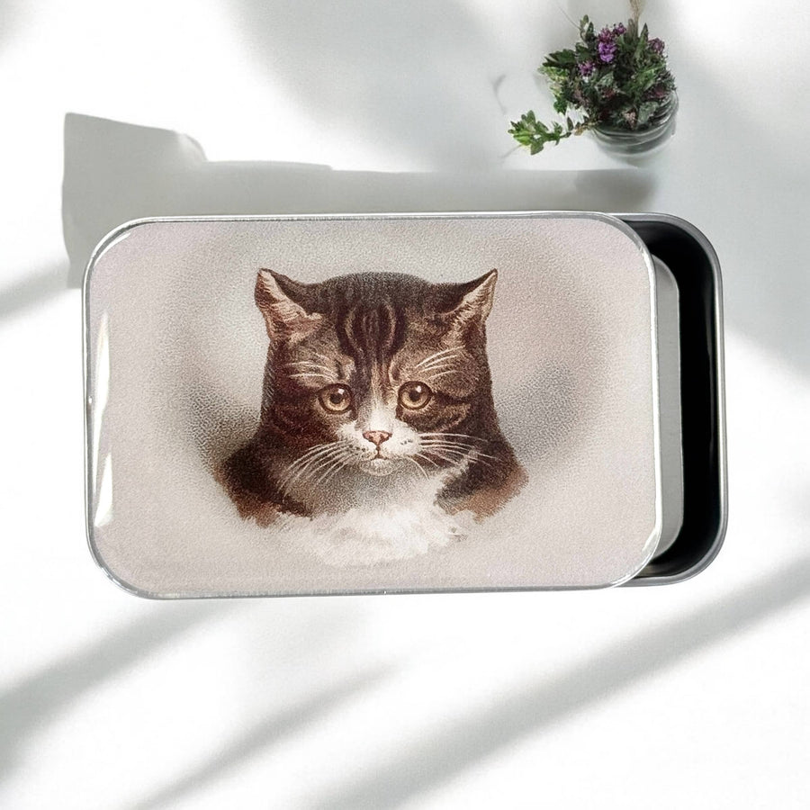 Firefly Notes - Cat Notions Tin
