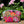Load image into Gallery viewer, Large Zipper Storage Pouch: Handcrafted

