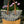 Load image into Gallery viewer, Vele Extra Large Tote Bag with Floral Print
