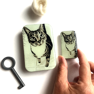 Firefly Notes - Tabby Cat Notions Tin