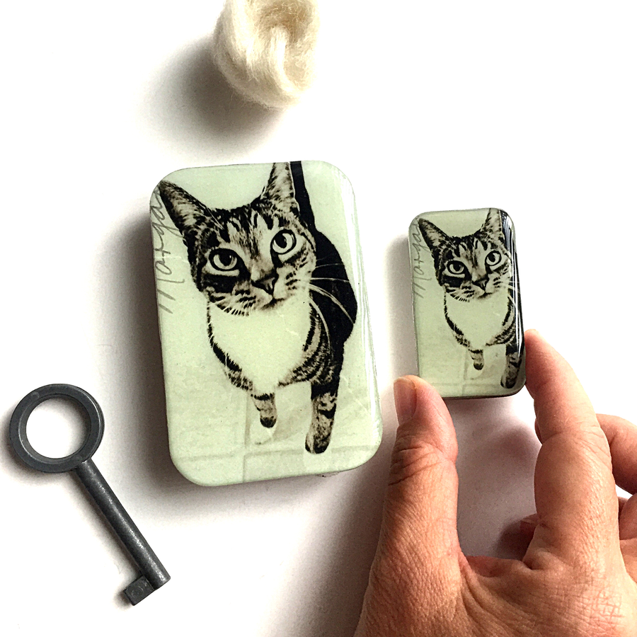 Firefly Notes - Tabby Cat Notions Tin