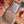 Load image into Gallery viewer, Atenti Knitting Needle Storage Atenti Carmine Circular Knitting Needle Case joeriaknits
