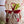 Load image into Gallery viewer, Atenti Project Bags Atenti Harvest Tall Knitting and Crochet Project Bag joeriaknits
