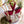 Load image into Gallery viewer, Atenti Project Bags Atenti Harvest Tall Knitting and Crochet Project Bag joeriaknits

