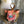 Load image into Gallery viewer, Atenti Tote Bags Atenti -  Le Tigre Tall Caddy Project Bag joeriaknits
