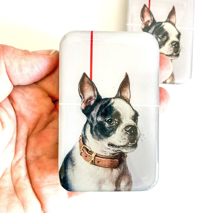 Firefly Notes - Boston Terrier Notions Tin