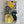 Load image into Gallery viewer, JOERIA KNITS Knitting Needle Storage Circular Needle Holder - Custom Fabric / Sheepshee Circular Knitting Needle Storage: Designer Fabric: Handcrafted joeriaknits

