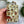 Load image into Gallery viewer, Firefly Notes - Mushroom Notions Tin
