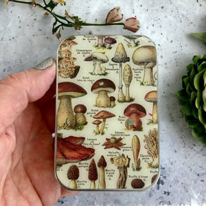 Firefly Notes - Mushroom Notions Tin