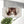 Load image into Gallery viewer, Firefly Notes - Cat Notions Tin
