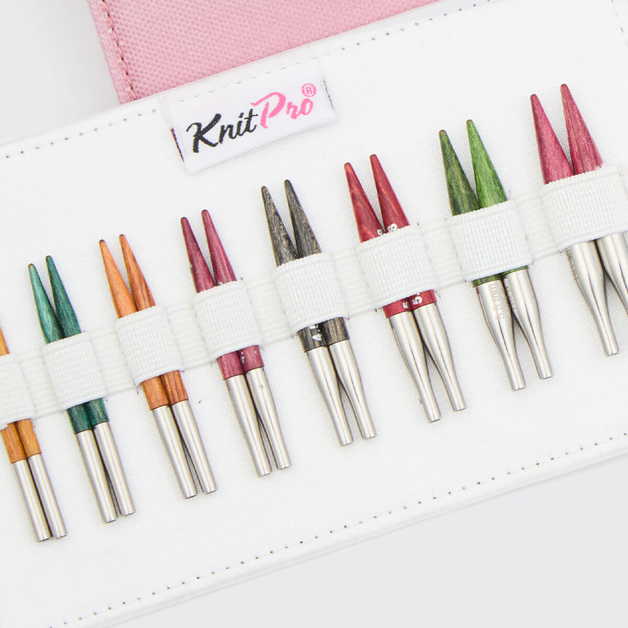 Dreamz Mini Interchangeable Knitting Needle Set