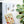 Load image into Gallery viewer, Firefly Notes - Mushroom Notions Tin
