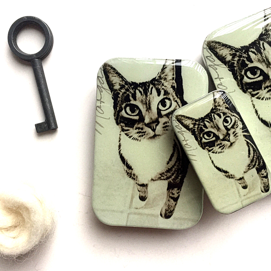 Firefly Notes - Tabby Cat Notions Tin