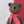 Load image into Gallery viewer, Hardicraft - DIY Crochet Kit - Bobbi Bear
