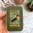 Load image into Gallery viewer, Notions Tin Firefly Notes with vintage Bird Life design in hand, featuring charming nature-inspired aesthetics.
