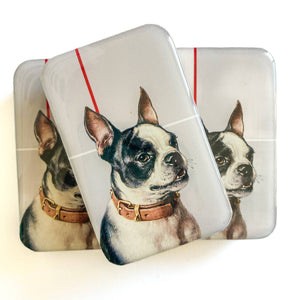 Firefly Notes Notions Tin Large tin Firefly Notes - Boston Terrier Notions Tin joeriaknits