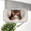 Load image into Gallery viewer, Firefly Notes Notions Tin Large Firefly Notes - Cat Notions Tin joeriaknits
