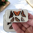 Load image into Gallery viewer, Firefly Notes Notions Tin Large Firefly Notes - Orange Butterfly Notions Tin joeriaknits

