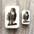 Load image into Gallery viewer, Notions Tin by Firefly Notes featuring a vintage-style wise owl illustration with the word 'Wisdom'.
