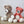 Load image into Gallery viewer, Hardicraft USA DIY Crochet Kit Hardicraft - DIY Crochet Kit - Robbin Cat joeriaknits
