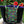 Load image into Gallery viewer, JOERIA KNITS Project Bags Tote Bag - Large - Fish in the Dark joeriaknits
