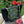 Load image into Gallery viewer, JOERIA KNITS Project Bags Tote Bag - Large - Fish in the Dark joeriaknits
